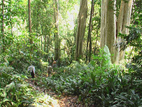 Lợi nhuận vào túi chủ đầu tư