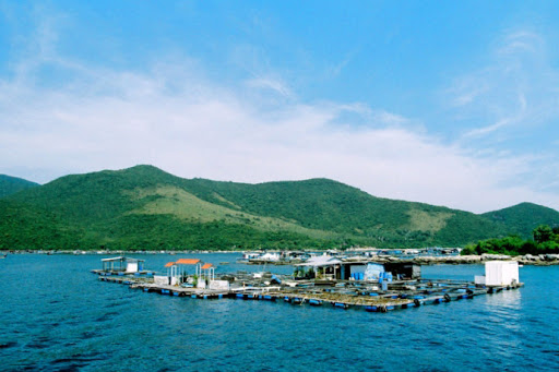 Quản lý nguồn tài nguyên ven biển: Đánh đổi giữa du lịch và khai thác thủy sản